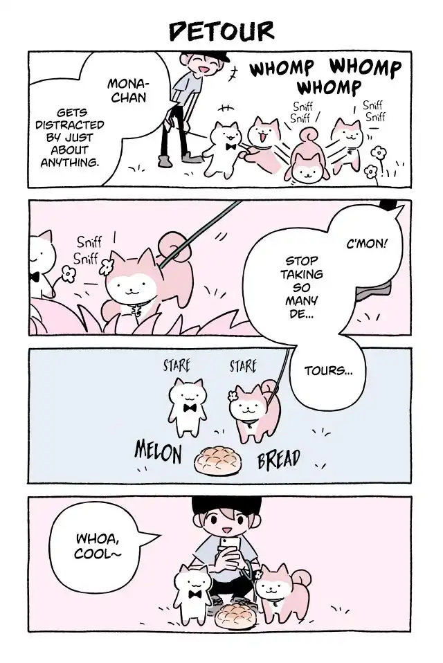 Wonder Cat Kyuu-chan Chapter 621 1